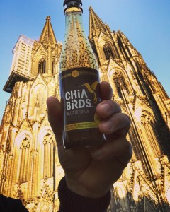 kölner dom cathedral colognia chia birds