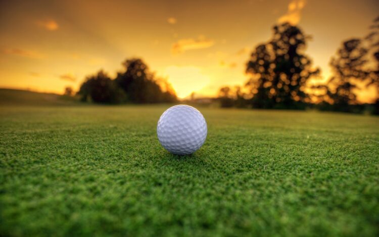focus drink golf chai birds