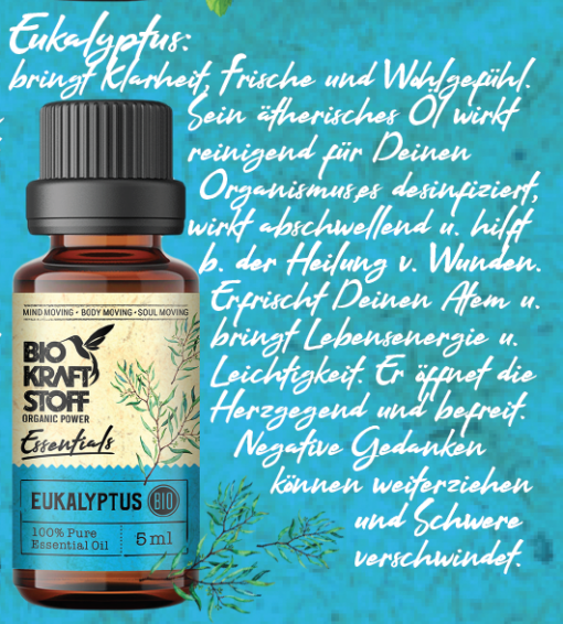 EUKALYPTUS: Lebensmittel & Naturessenz (Wasserdampfdestillation), 100 % pures BiO-Ätherisches Öl. 100 % BIO – Bild 2